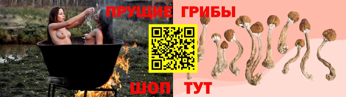 Клинцы  Псилоцибиновые грибы GOLDEN TEACHER  сколько стоит  Вход с VPN 